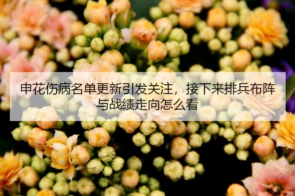 shen-hua-shang-bing-ming-dan-geng-xin-yin-fa-guan-zhu-jie-xia-lai-pai-bing-bu-zhen-yu-zhan-ji-zou-xiang-zen-me-kan-2-515.jpg