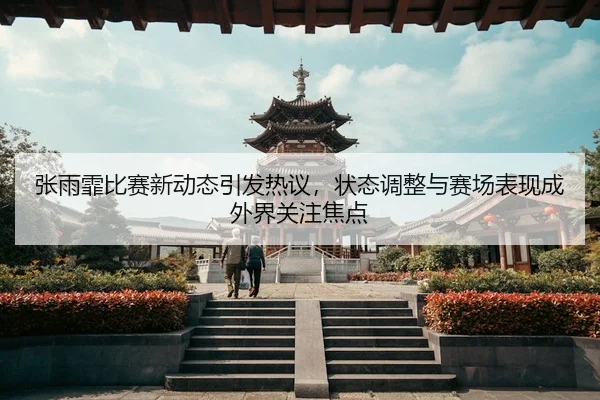张雨霏比赛新动态引发热议，状态调整与赛场表现成外界关注焦点